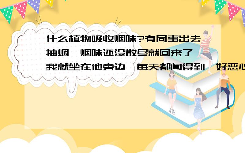 什么植物吸收烟味?有同事出去抽烟,烟味还没散尽就回来了,我就坐在他旁边,每天都闻得到,好恶心,他还咳嗽,我该怎么办,买什么植物比较好?