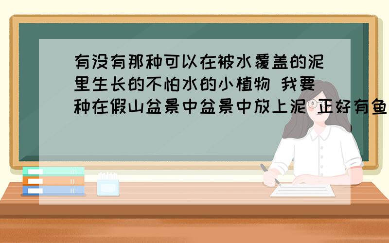 有没有那种可以在被水覆盖的泥里生长的不怕水的小植物 我要种在假山盆景中盆景中放上泥 正好有鱼的粪便做养分 还能减少些养鱼散发的腥味