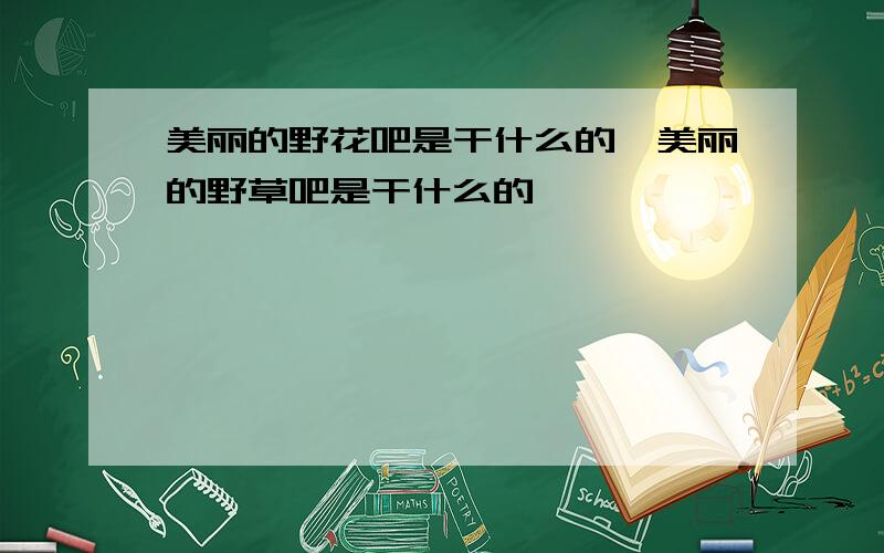 美丽的野花吧是干什么的,美丽的野草吧是干什么的