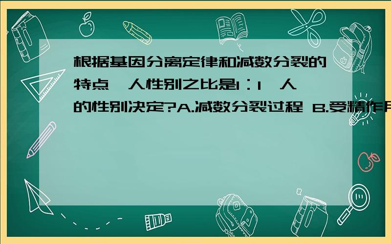 根据基因分离定律和减数分裂的特点,人性别之比是1：1,人的性别决定?A.减数分裂过程 B.受精作用过程 C.囊胚形成过程 D.原肠胚形成