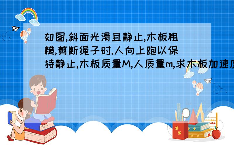 如图,斜面光滑且静止,木板粗糙,剪断绳子时,人向上跑以保持静止,木板质量M,人质量m,求木板加速度