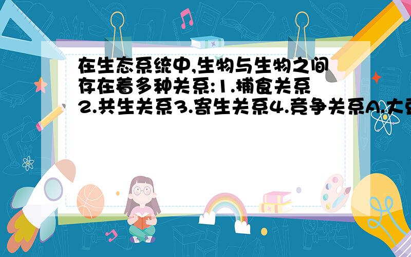 在生态系统中,生物与生物之间存在着多种关系:1.捕食关系2.共生关系3.寄生关系4.竞争关系A.大豆与根瘤菌B.噬菌体于细菌各是哪一种关系