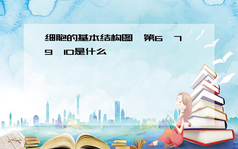 细胞的基本结构图,第6,7,9,10是什么