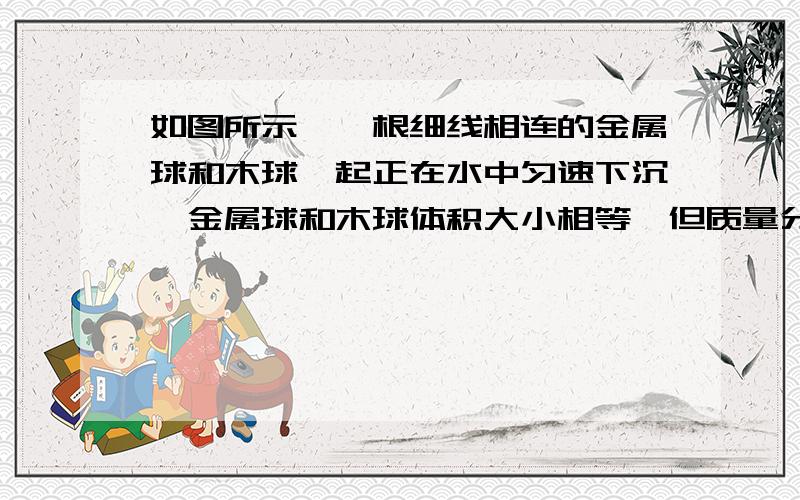 如图所示,一根细线相连的金属球和木球一起正在水中匀速下沉,金属球和木球体积大小相等,但质量分别是M和且假定每个球下沉时所受的阻力仅指各自所受的浮力.那么其中的木球所受的浮力