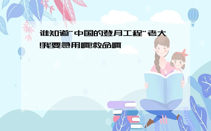 谁知道”中国的登月工程”老大!我要急用啊!救命啊