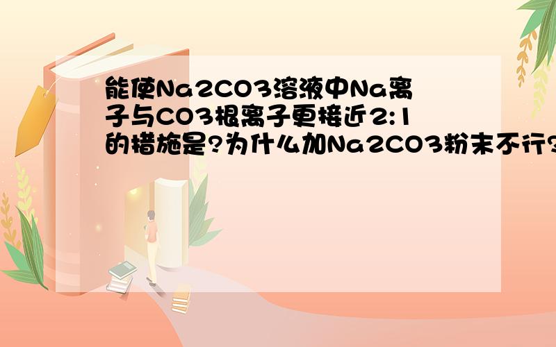 能使Na2CO3溶液中Na离子与CO3根离子更接近2:1的措施是?为什么加Na2CO3粉末不行?