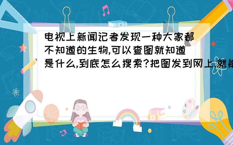 电视上新闻记者发现一种大家都不知道的生物,可以查图就知道是什么,到底怎么搜索?把图发到网上,就能知道是什么东西了?还是在哪里提问等回答?