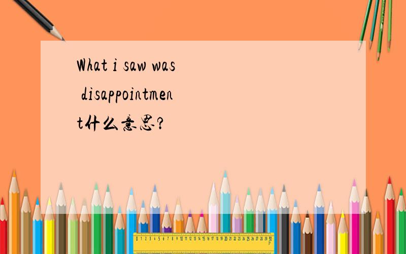 What i saw was disappointment什么意思?