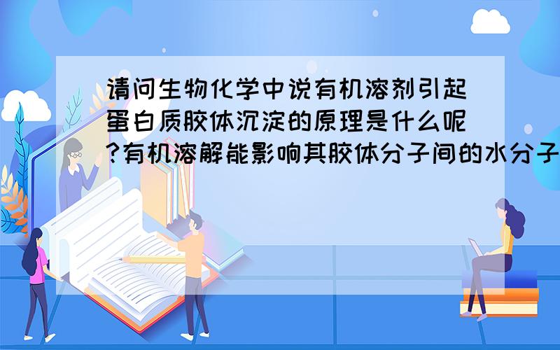 请问生物化学中说有机溶剂引起蛋白质胶体沉淀的原理是什么呢?有机溶解能影响其胶体分子间的水分子层这点我清楚,关键是有机溶剂对双电子层的影响,说是什么影响了介电常数之类的……