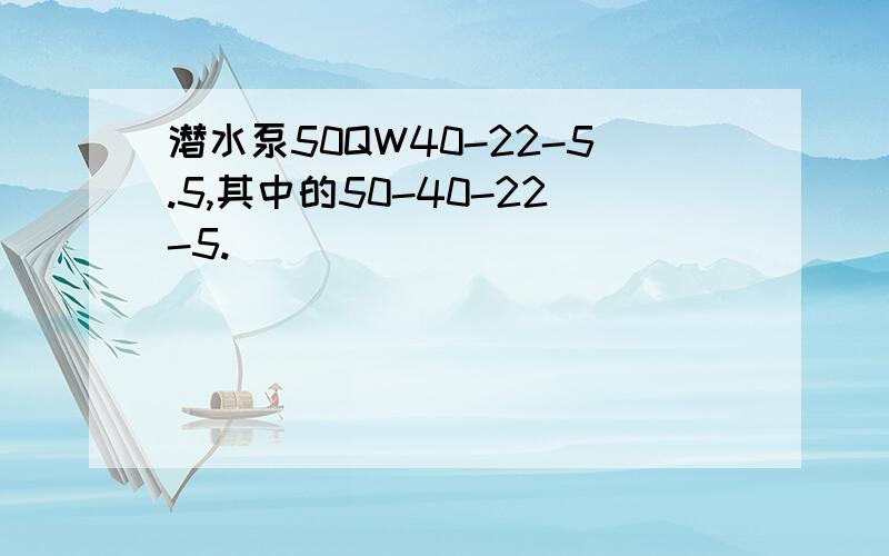 潜水泵50QW40-22-5.5,其中的50-40-22-5.