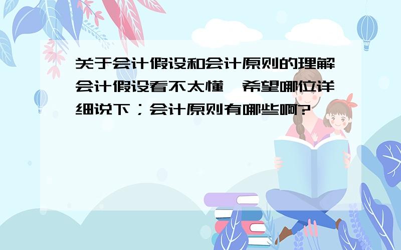 关于会计假设和会计原则的理解会计假设看不太懂,希望哪位详细说下；会计原则有哪些啊?