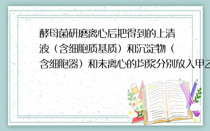 酵母菌研磨离心后把得到的上清液（含细胞质基质）和沉淀物（含细胞器）和未离心的均浆分别放入甲乙丙3只试管中滴加等量的葡萄糖能产生二氧化碳和水的是?为什么?