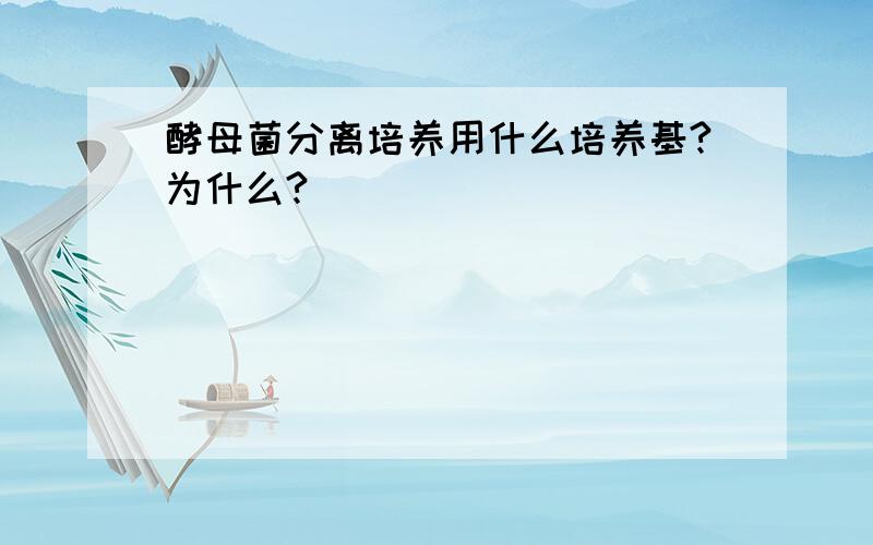 酵母菌分离培养用什么培养基?为什么?