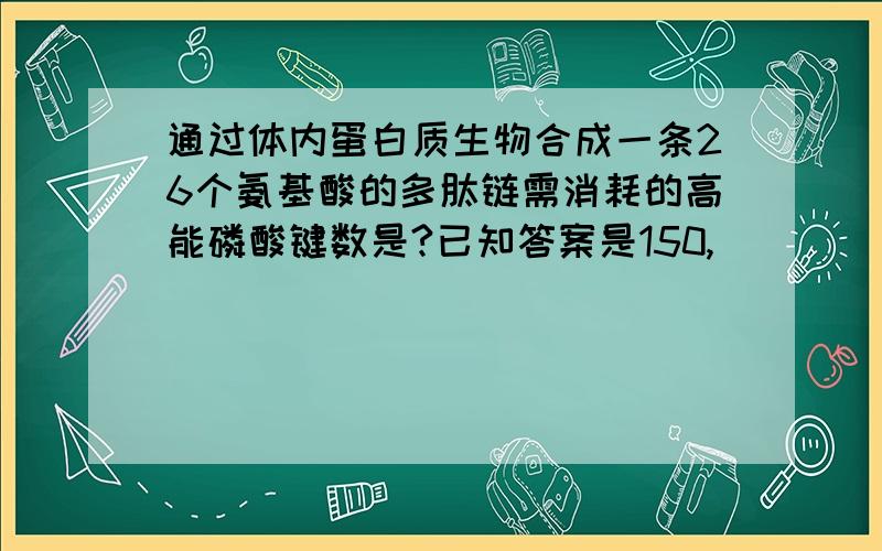 通过体内蛋白质生物合成一条26个氨基酸的多肽链需消耗的高能磷酸键数是?已知答案是150,