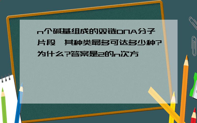 n个碱基组成的双链DNA分子片段,其种类最多可达多少种?为什么?答案是2的n次方