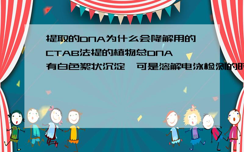 提取的DNA为什么会降解用的CTAB法提的植物总DNA,有白色絮状沉淀,可是溶解电泳检测的时候带很乱,很杂,以前提的没有这种情况,是被降解了吗,哪些原因会导致这种情况呢?