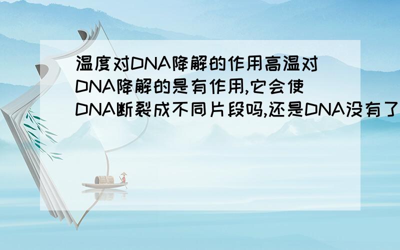 温度对DNA降解的作用高温对DNA降解的是有作用,它会使DNA断裂成不同片段吗,还是DNA没有了?植物DNA也是一样吗，不是在溶液中。