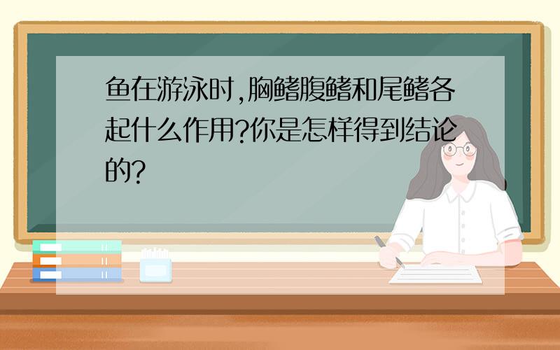 鱼在游泳时,胸鳍腹鳍和尾鳍各起什么作用?你是怎样得到结论的?