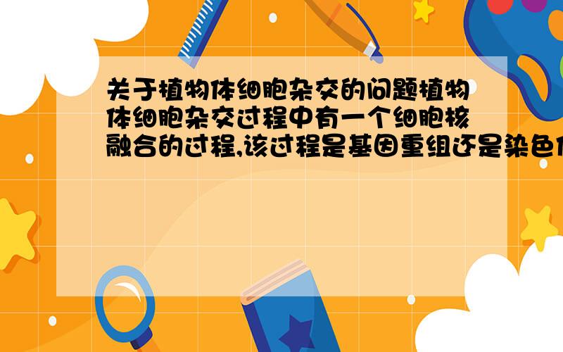 关于植物体细胞杂交的问题植物体细胞杂交过程中有一个细胞核融合的过程,该过程是基因重组还是染色体变异呢?