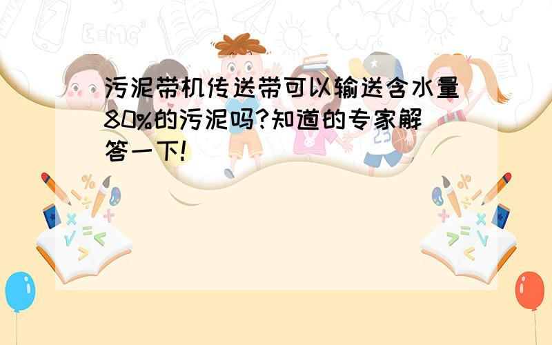 污泥带机传送带可以输送含水量80%的污泥吗?知道的专家解答一下!