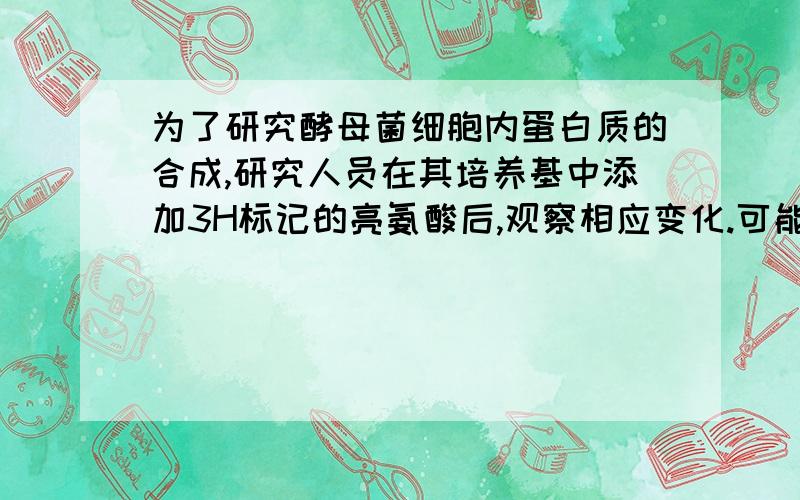 为了研究酵母菌细胞内蛋白质的合成,研究人员在其培养基中添加3H标记的亮氨酸后,观察相应变化.可能出现的结果是A、细胞核内不出现3H标记B、内质网是首先观察到3H标记的细胞器C、培养30