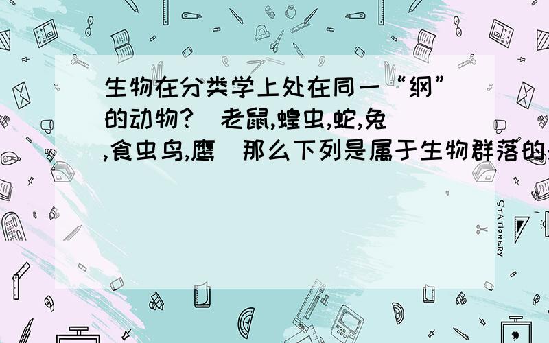 生物在分类学上处在同一“纲”的动物?（老鼠,蝗虫,蛇,兔,食虫鸟,鹰）那么下列是属于生物群落的是（） 一棵枯树和其他的苔藓，真菌，昆虫，蜗牛等 一个小池塘里的藻类，鱼类，细菌，