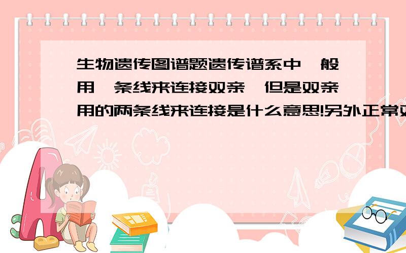 生物遗传图谱题遗传谱系中一般用一条线来连接双亲,但是双亲用的两条线来连接是什么意思!另外正常双亲A_和A_婚配后代出现白化病Aa的概率是多少?双亲可能为纯合子,也可能为杂合子哦.