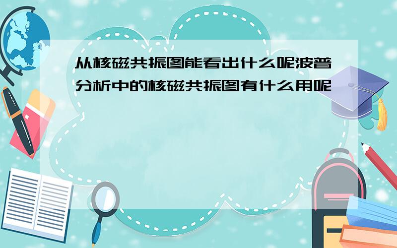 从核磁共振图能看出什么呢波普分析中的核磁共振图有什么用呢