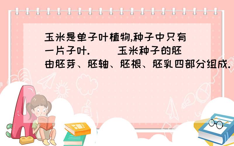 玉米是单子叶植物,种子中只有一片子叶.（ ）玉米种子的胚由胚芽、胚轴、胚根、胚乳四部分组成.（ ）在新鲜的玉米种子剖面上滴加碘液,变蓝的部分是胚乳.（ ）一粒玉米种子就是一个果