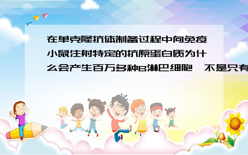 在单克隆抗体制备过程中向免疫小鼠注射特定的抗原蛋白质为什么会产生百万多种B淋巴细胞,不是只有一种吗?