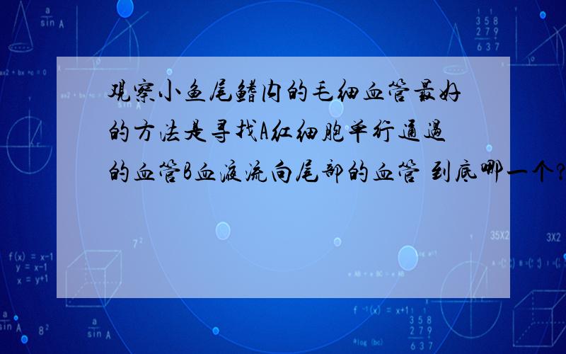 观察小鱼尾鳍内的毛细血管最好的方法是寻找A红细胞单行通过的血管B血液流向尾部的血管 到底哪一个?