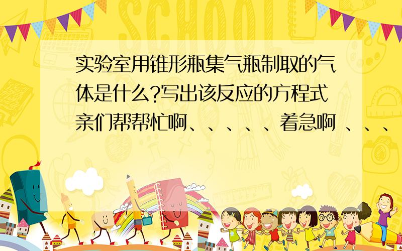 实验室用锥形瓶集气瓶制取的气体是什么?写出该反应的方程式亲们帮帮忙啊、、、、、着急啊 、、、