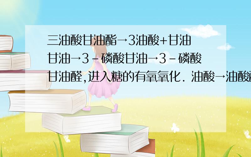 三油酸甘油酯→3油酸+甘油 甘油→3-磷酸甘油→3-磷酸甘油醛,进入糖的有氧氧化. 油酸→油酸酰CoA,进入脂4、 1摩尔油酸氧化能产生多少摩尔的ATP?请说明ATP产生的过程.
