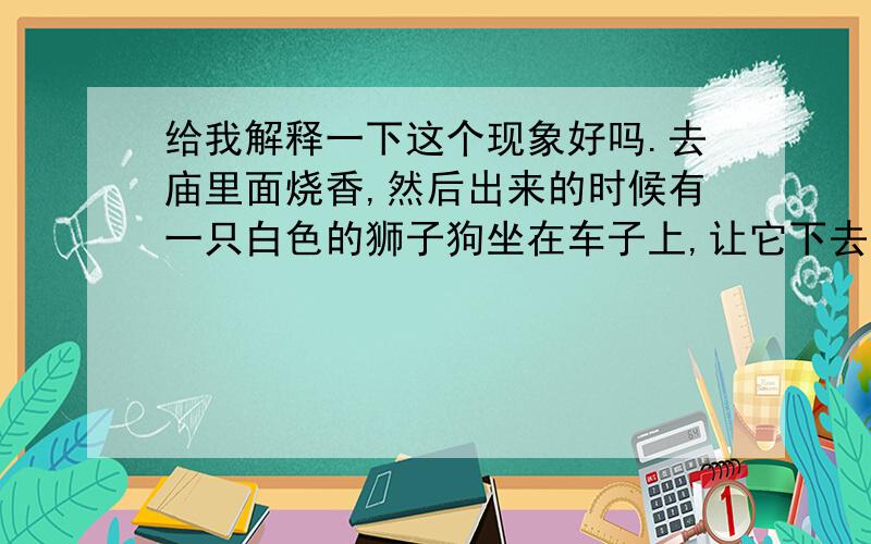 给我解释一下这个现象好吗.去庙里面烧香,然后出来的时候有一只白色的狮子狗坐在车子上,让它下去后,它一路跟着一直不肯离开,那只狗狗是不认识的.