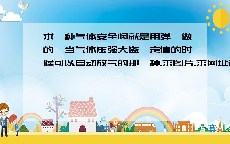 求一种气体安全阀就是用弹簧做的,当气体压强大盗一定值的时候可以自动放气的那一种.求图片.求网址连接.跪求.要这个是装在自行车上的.最好是压力可以自己调节的.一般口径为1公分 压力