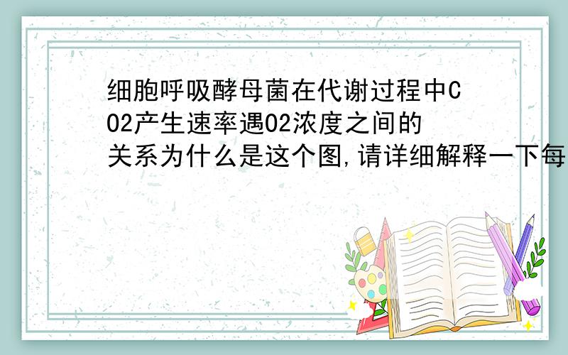 细胞呼吸酵母菌在代谢过程中CO2产生速率遇O2浓度之间的关系为什么是这个图,请详细解释一下每段的变化趋势的原因,