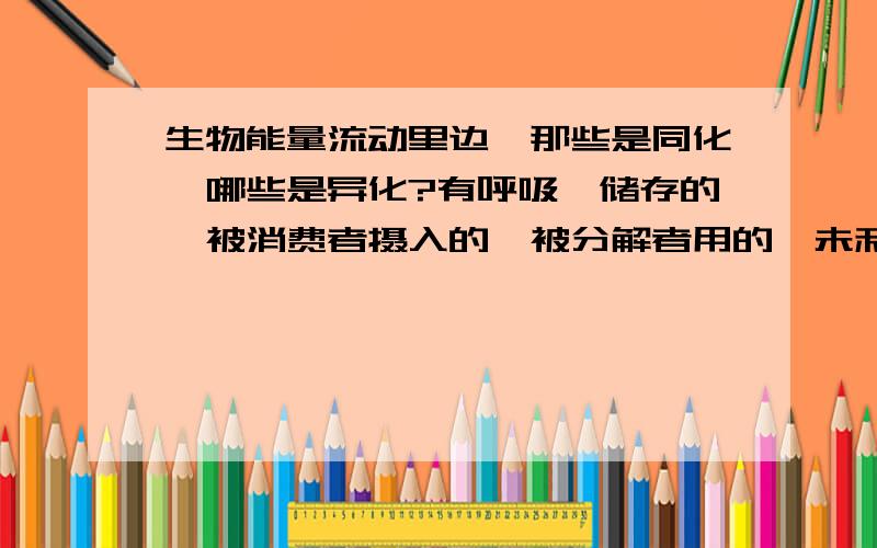 生物能量流动里边,那些是同化,哪些是异化?有呼吸,储存的,被消费者摄入的,被分解者用的,未利用的