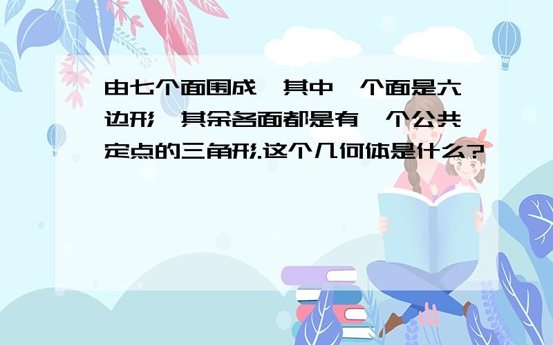 由七个面围成,其中一个面是六边形,其余各面都是有一个公共定点的三角形.这个几何体是什么?