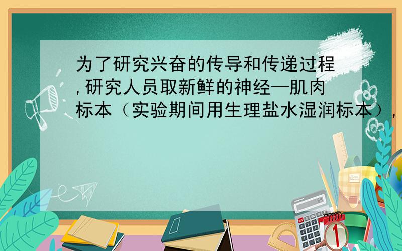 为了研究兴奋的传导和传递过程,研究人员取新鲜的神经—肌肉标本（实验期间用生理盐水湿润标本）,设计了下面的实验装置图.在图中A、C两点分别给以适宜的刺激,请分析有关实验的叙述正