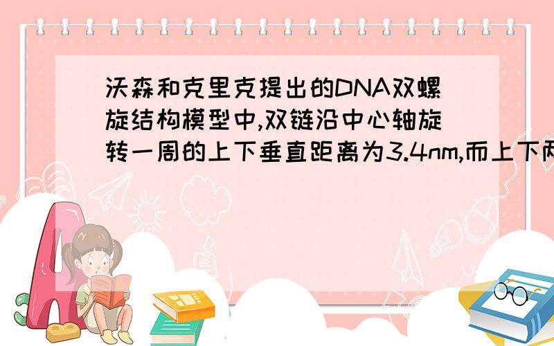 沃森和克里克提出的DNA双螺旋结构模型中,双链沿中心轴旋转一周的上下垂直距离为3.4nm,而上下两相邻碱基对之间的垂直距离为0.34nm.问：DNA分子在旋转一周的空间范围内共有（   ）个脱氧核