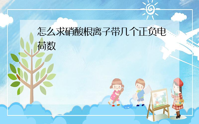 怎么求硝酸根离子带几个正负电荷数