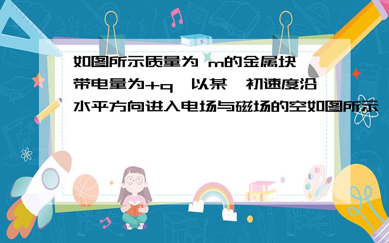 如图所示质量为 m的金属块,带电量为+q,以某一初速度沿水平方向进入电场与磁场的空如图所示,某一质量m、带电量为q的金属滑块（视为质点）,以某一初速度沿水平方向放置的绝缘板进入存在