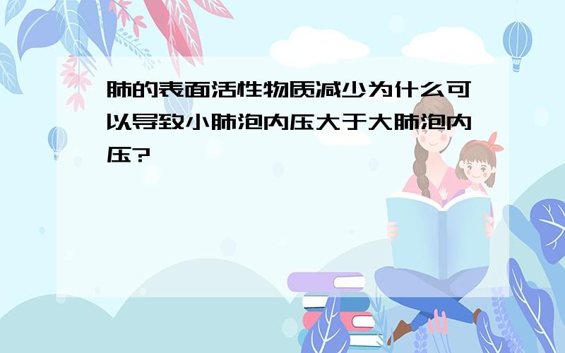 肺的表面活性物质减少为什么可以导致小肺泡内压大于大肺泡内压?