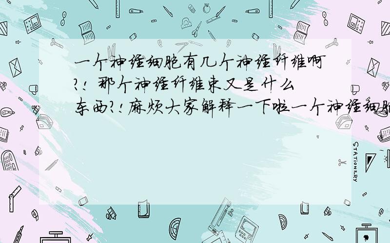 一个神经细胞有几个神经纤维啊?! 那个神经纤维束又是什么东西?!麻烦大家解释一下啦一个神经细胞有几个神经纤维啊?!那个神经纤维束又是什么东西?!长在哪儿啊一个神经纤维只能传导一种