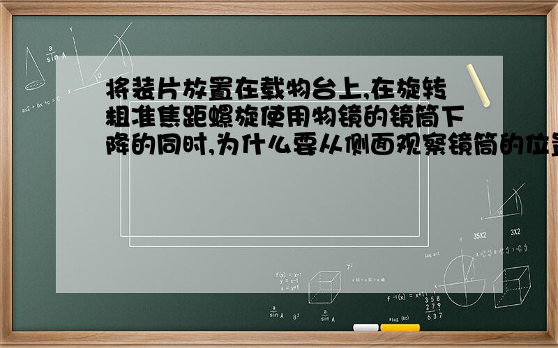 将装片放置在载物台上,在旋转粗准焦距螺旋使用物镜的镜筒下降的同时,为什么要从侧面观察镜筒的位置