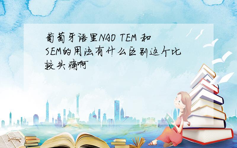 葡萄牙语里NAO TEM 和SEM的用法有什么区别这个比较头痛啊