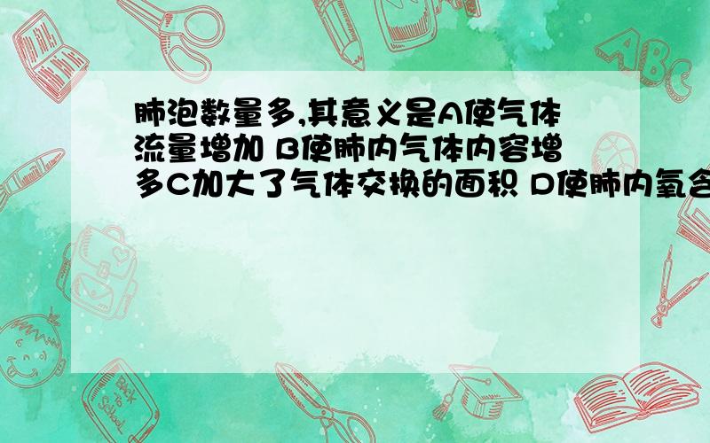 肺泡数量多,其意义是A使气体流量增加 B使肺内气体内容增多C加大了气体交换的面积 D使肺内氧含量增加