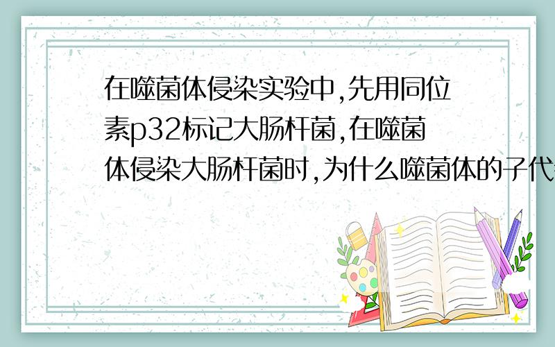 在噬菌体侵染实验中,先用同位素p32标记大肠杆菌,在噬菌体侵染大肠杆菌时,为什么噬菌体的子代会出现p32标记的dna,噬菌体的dna是怎么转化为p32标记的dna的?