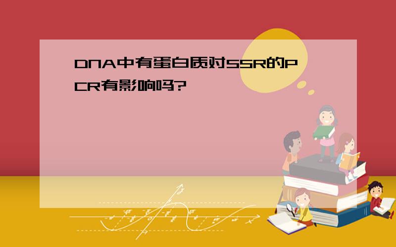 DNA中有蛋白质对SSR的PCR有影响吗?