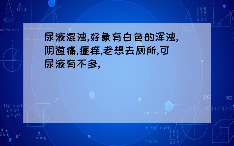 尿液混浊,好象有白色的浑浊,阴道痛,瘙痒,老想去厕所,可尿液有不多,